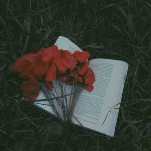 دانلود آهنگ ای سلام عاشقونه ای عزیز آشیونه